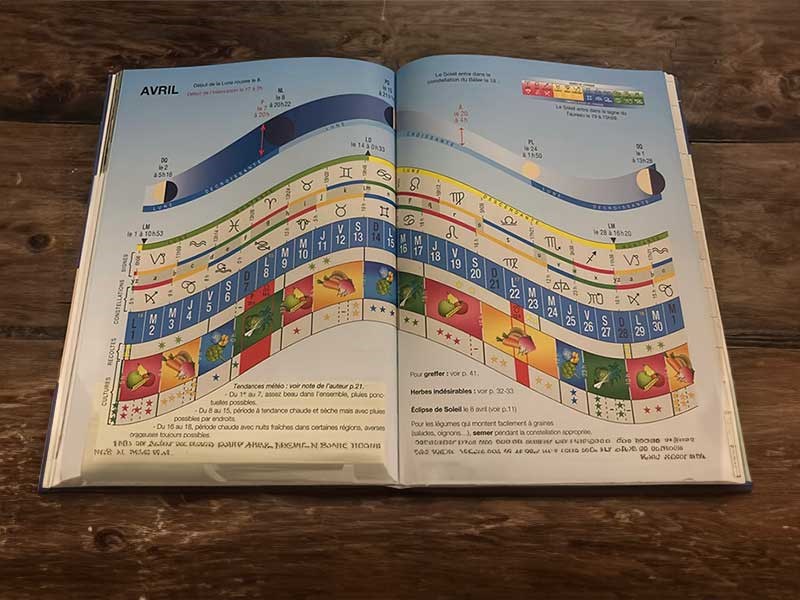 The Moon Calender