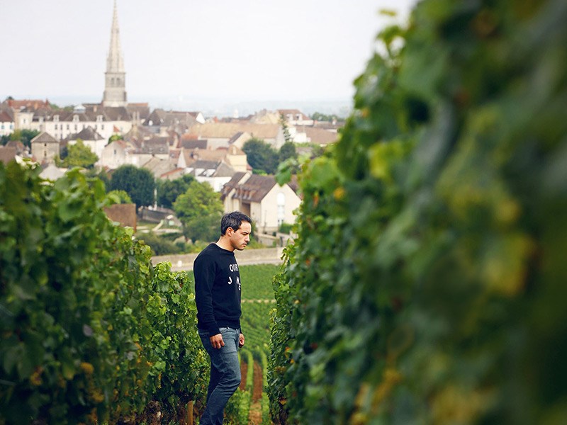 RomaricChavy_vinyard_800x600px.jpg